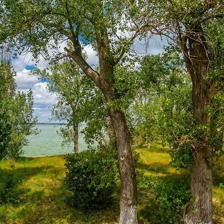 Tropicana Mamaia